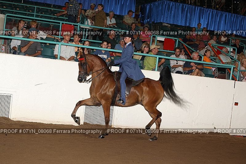 Proof 07YN_08068
