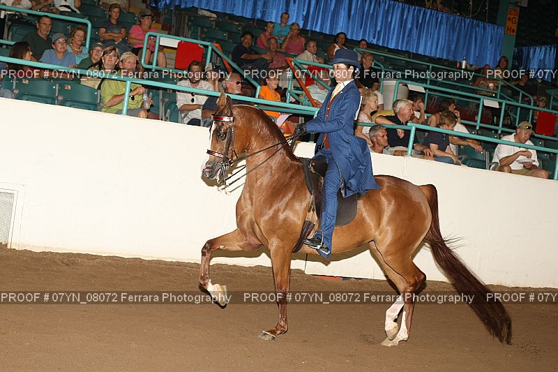 Proof 07YN_08072