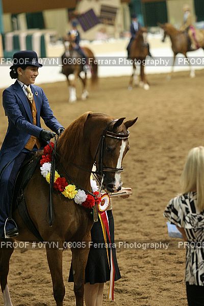 Proof 07YN_08085