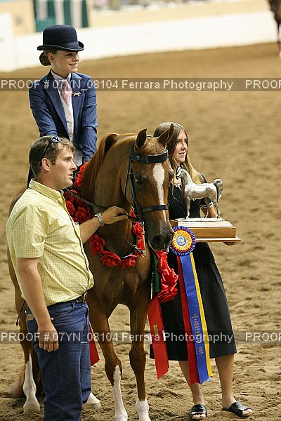 Proof 07YN_08104
