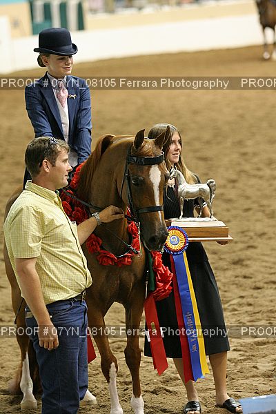 Proof 07YN_08105