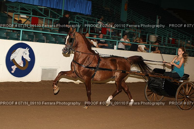Proof 07YN_09110