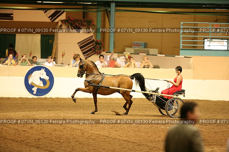 Proof 07YN_09130