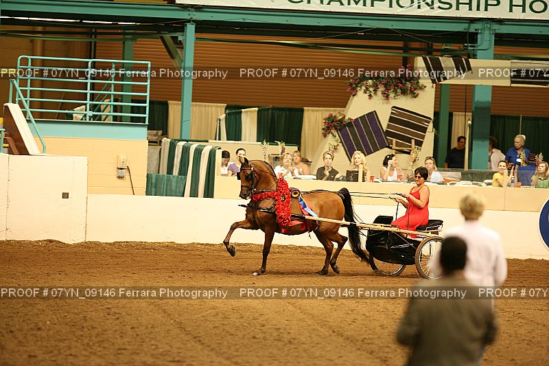 Proof 07YN_09146