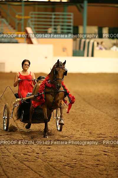 Proof 07YN_09149