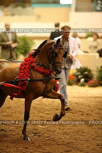 Proof 07YN_09152
