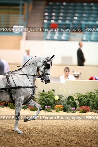 Proof 07YN_05471
