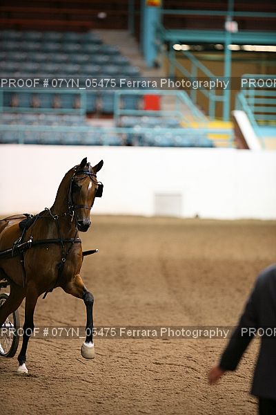 Proof 07YN_05475