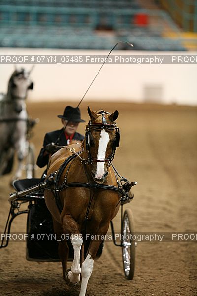 Proof 07YN_05485