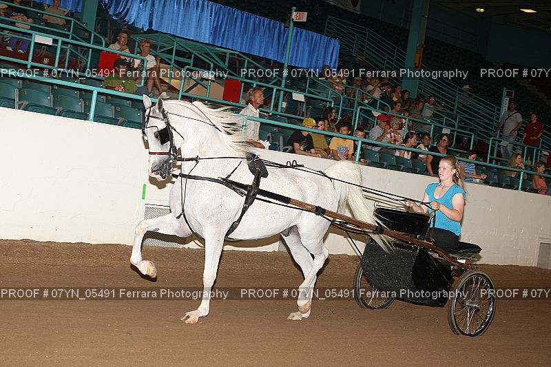 Proof 07YN_05491