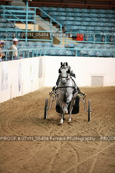 Proof 07YN_05494