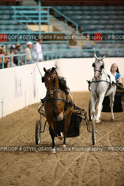 Proof 07YN_05499