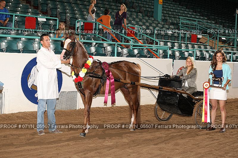 Proof 07YN_05507