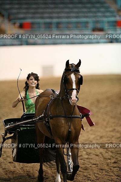 Proof 07YN_05524