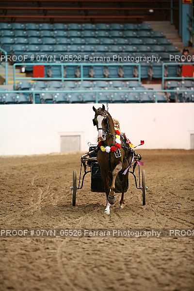 Proof 07YN_05526