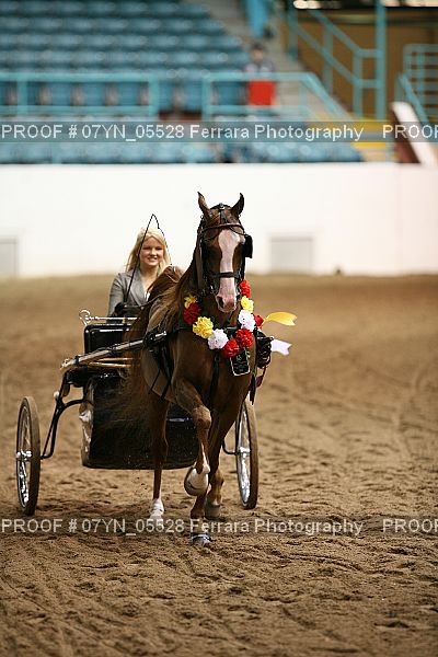 Proof 07YN_05528