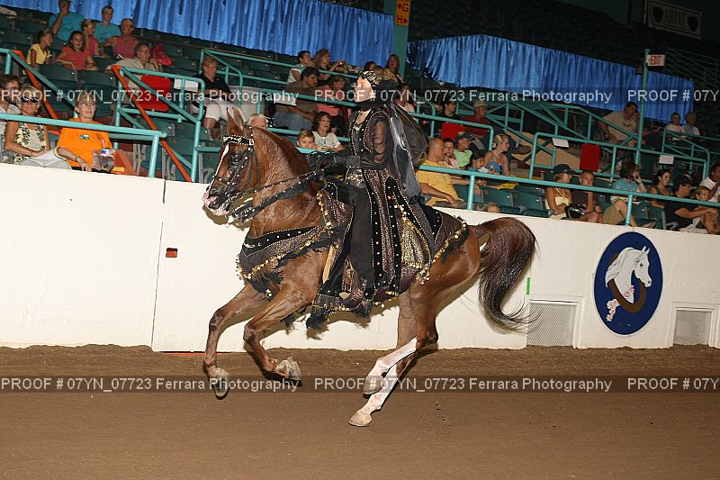 Proof 07YN_07723