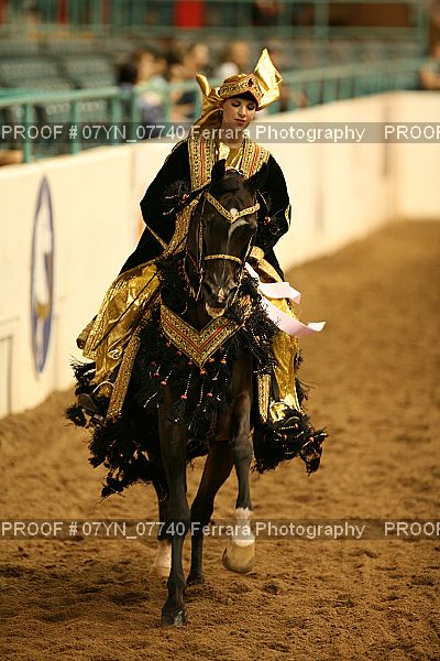 Proof 07YN_07740
