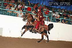 07YN_07755 proof