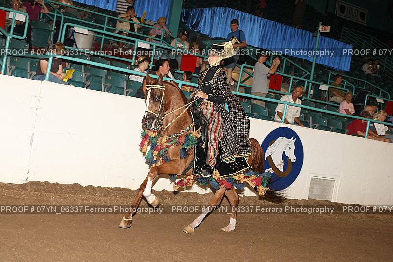 Proof 07YN_06337