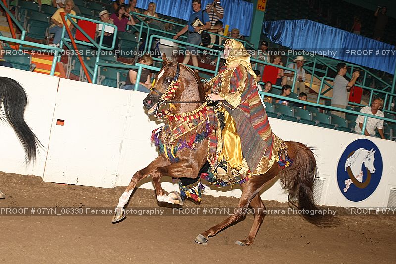 Proof 07YN_06338