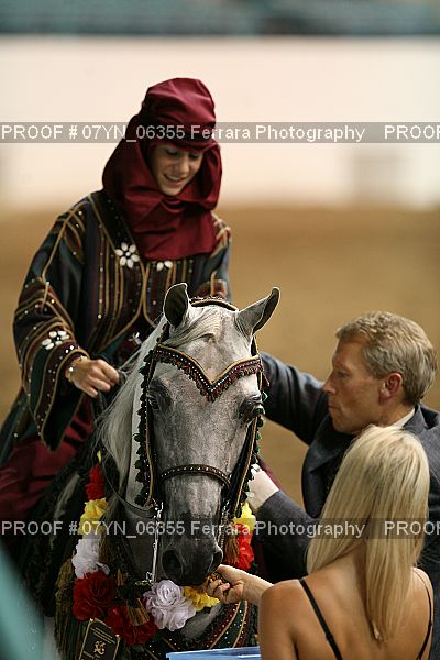 Proof 07YN_06355