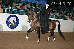 07YN_0120 proof