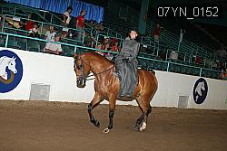 07YN_0152 proof