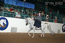 07YN_0153 proof