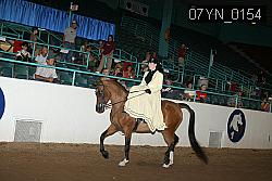 07YN_0154 proof