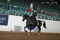 07YN_0176 proof