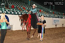 07YN_18252 proof