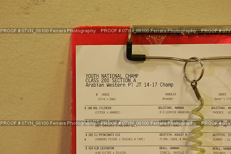 Proof 07YN_06100