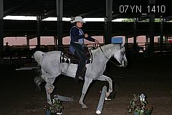 07YN_1410 proof