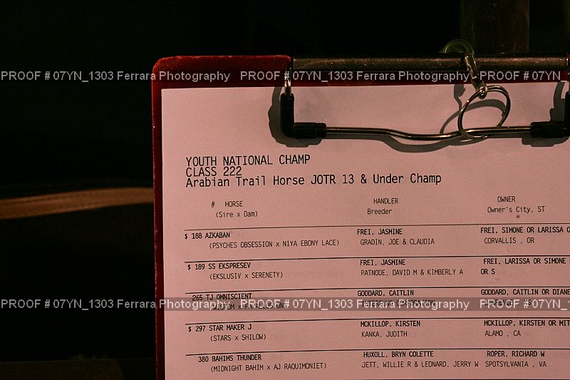 Proof 07YN_1303