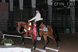 07YN_1383 proof