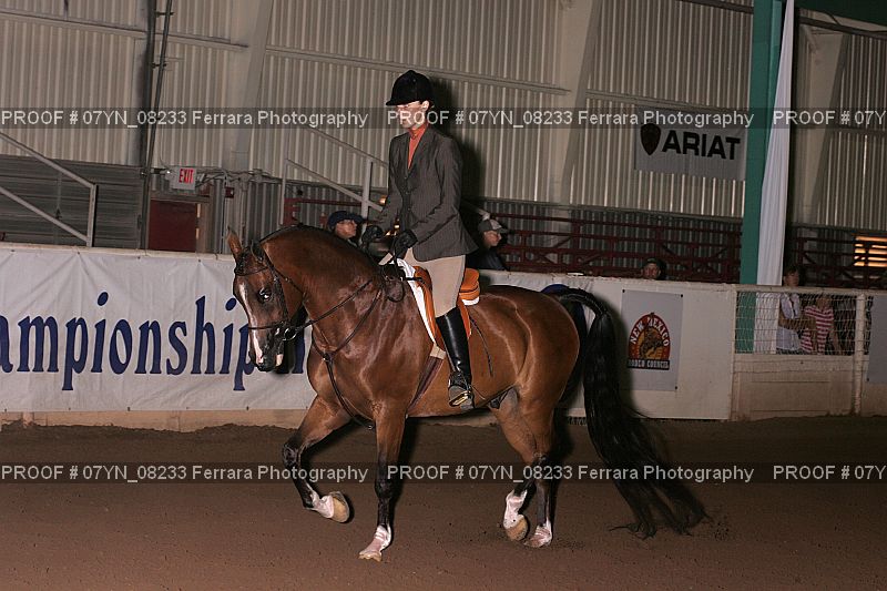 Proof 07YN_08233