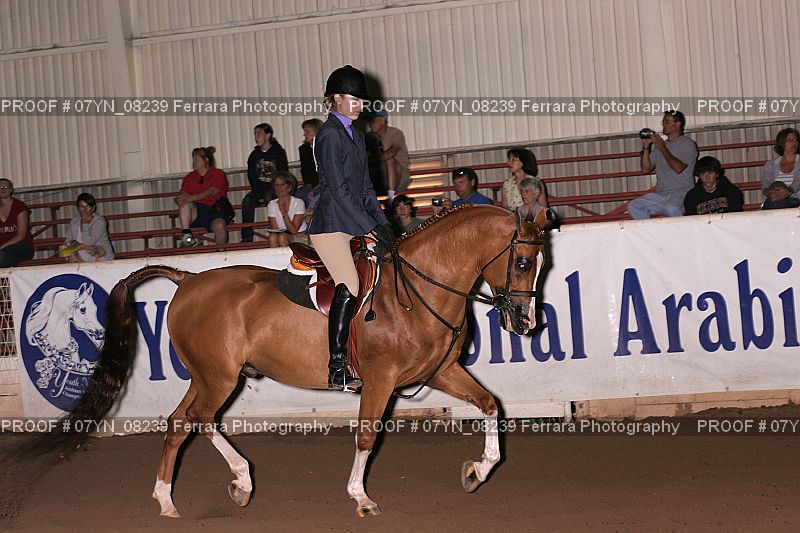 Proof 07YN_08239