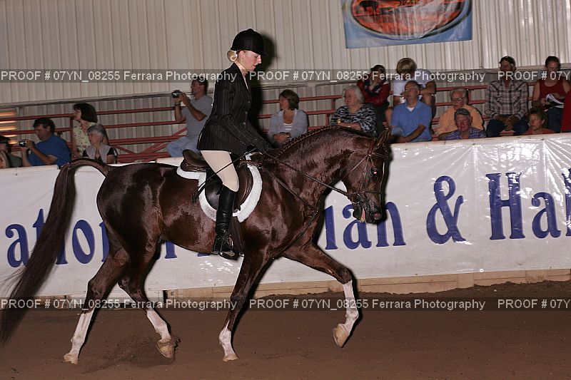 Proof 07YN_08255
