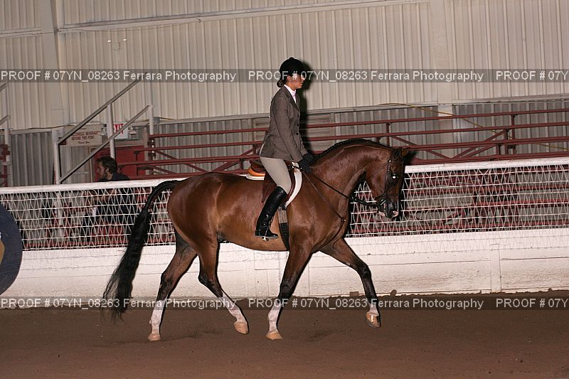 Proof 07YN_08263