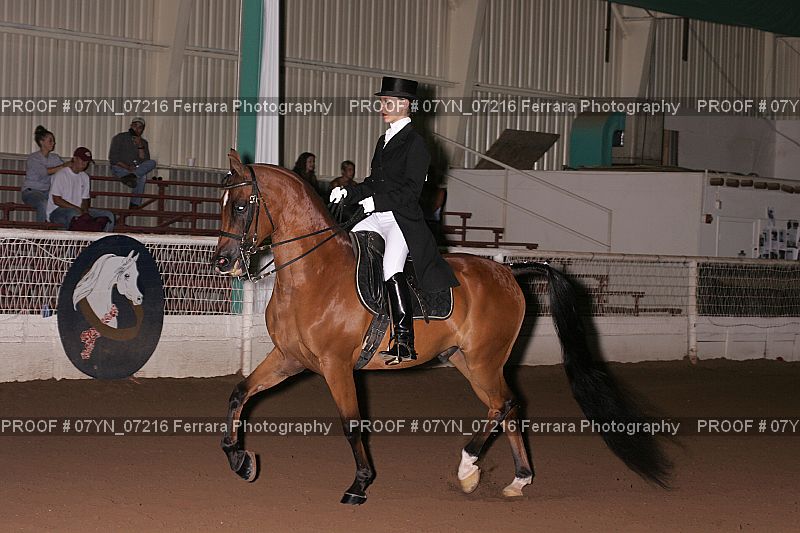 Proof 07YN_07216