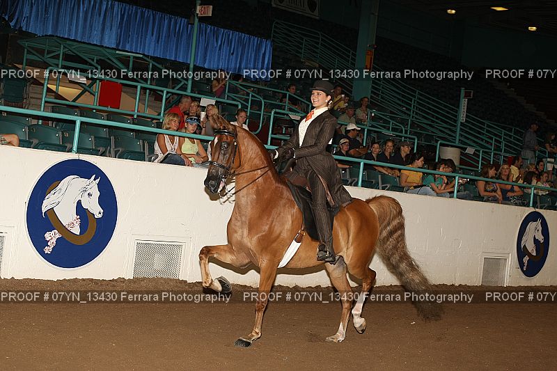 Proof 07YN_13430