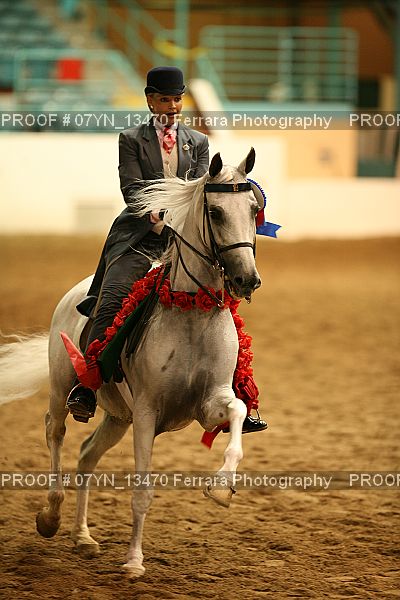 Proof 07YN_13470