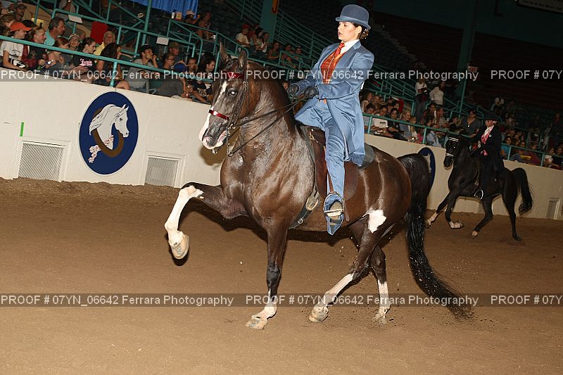 Proof 07YN_06642
