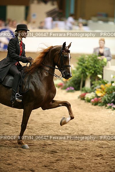 Proof 07YN_06647