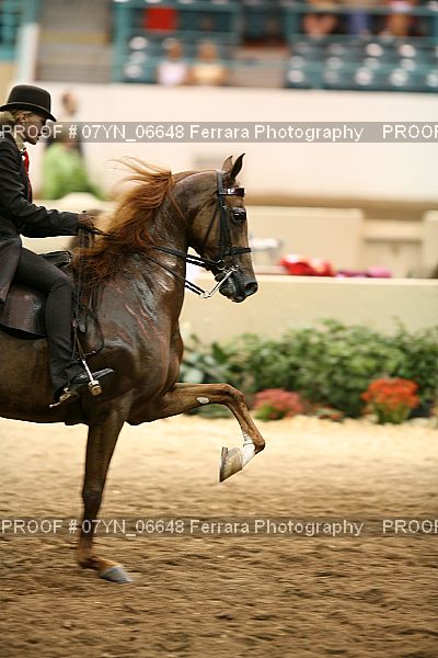 Proof 07YN_06648