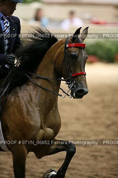 Proof 07YN_06652