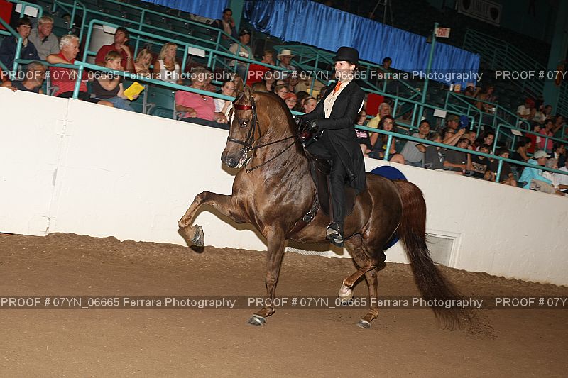 Proof 07YN_06665