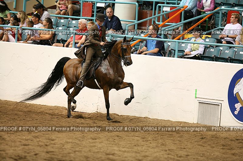 Proof 07YN_05804