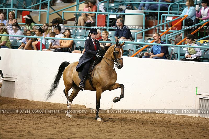 Proof 07YN_05807